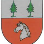 Магазины цветов в Кицмани